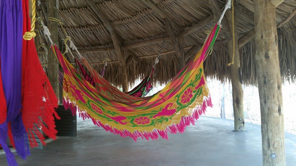 Hamacs colorés wayuu suspendus sous un toit de chaume dans une hutte en Alta Guajira, Colombie