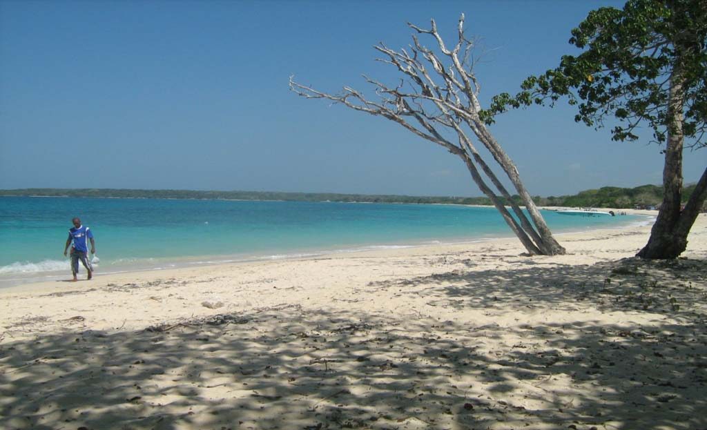 Plage de sable blanc près de Carthagène avec homme marchant au bord de l'eau et arbre incliné