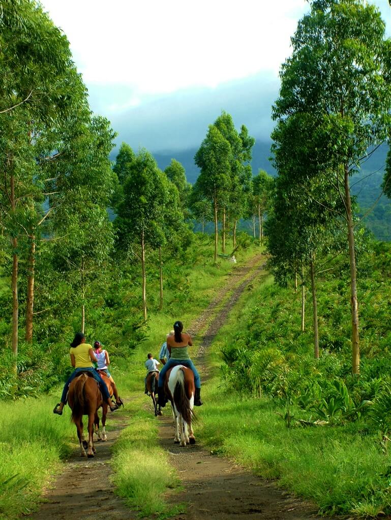 Plusieurs cavaliers avançant sur un chemin forestier verdoyant près de Rincón de la Vieja, Costa Rica