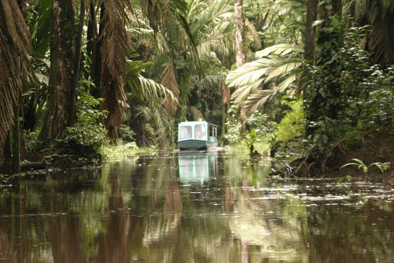 Bateau turquoise naviguant sur un canal bordé de palmiers à Tortuguero, Costa Rica