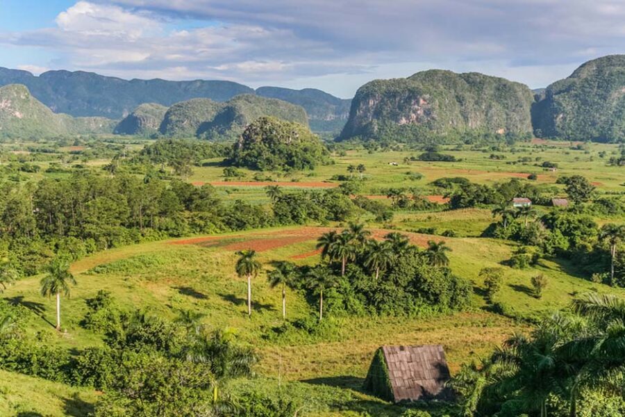 Vue panoramique de la vallée de Viñales à Cuba, mogotes karstiques et champs cultivés
