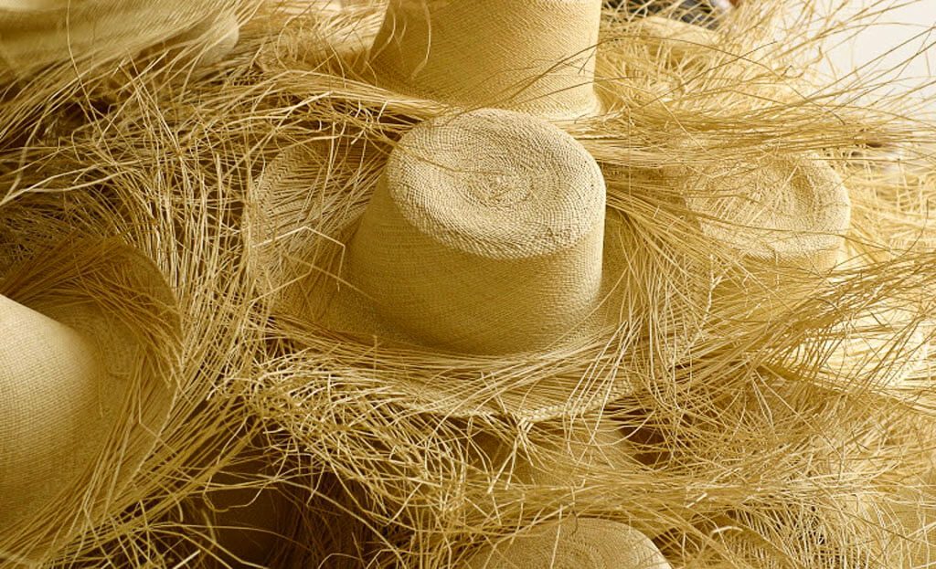 Gros plan sur des chapeaux panama tressés à finir, fibres de paille toquilla non coupées, Cuenca