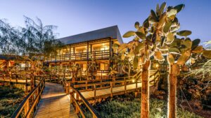 Hôtel moderne illuminé avec terrasses en bois et cactus aux Galápagos
