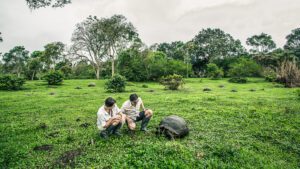 Deux personnes observent une tortue géante dans un pré verdoyant aux Galápagos