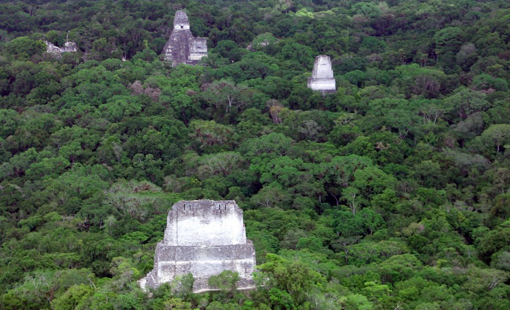 Temples mayas émergeant de la jungle tropicale à Tikal, Guatemala