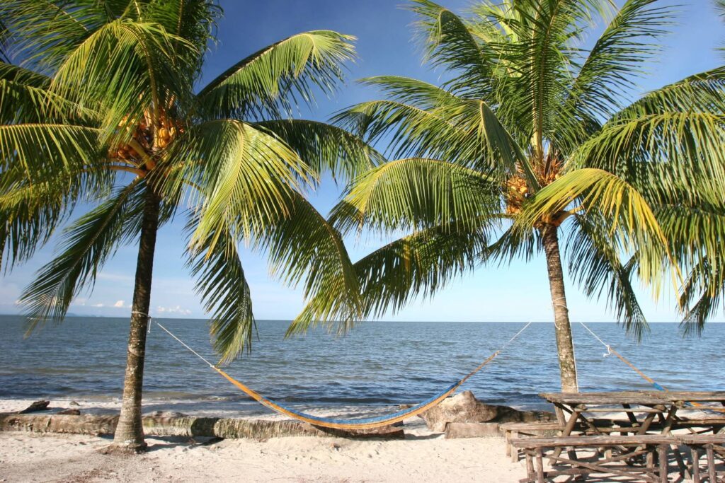 Hamac suspendu entre deux palmiers sur une plage de sable près de Livingston, Guatemala