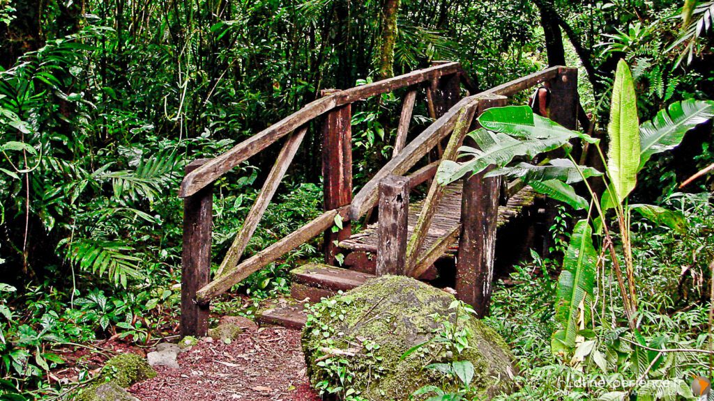 Petit pont en bois rustique sur un sentier forestier, volcan Mombacho près de Granada, Nicaragua