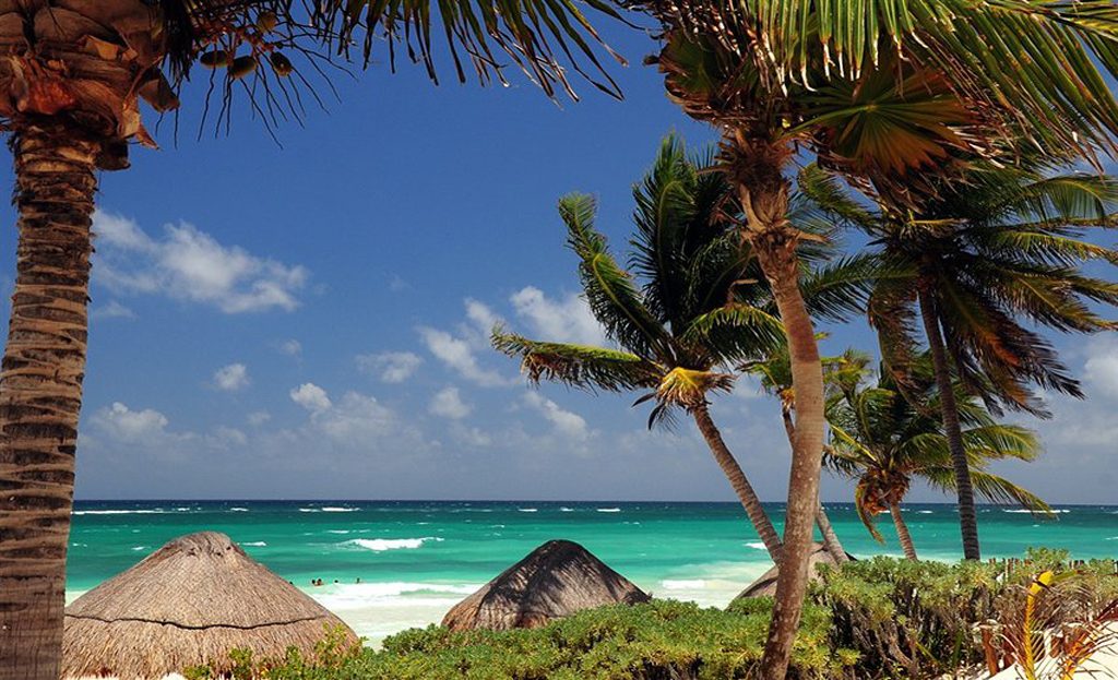 Palapas en toit de chaume et cocotiers encadrant une plage turquoise à Tulum, Mexique