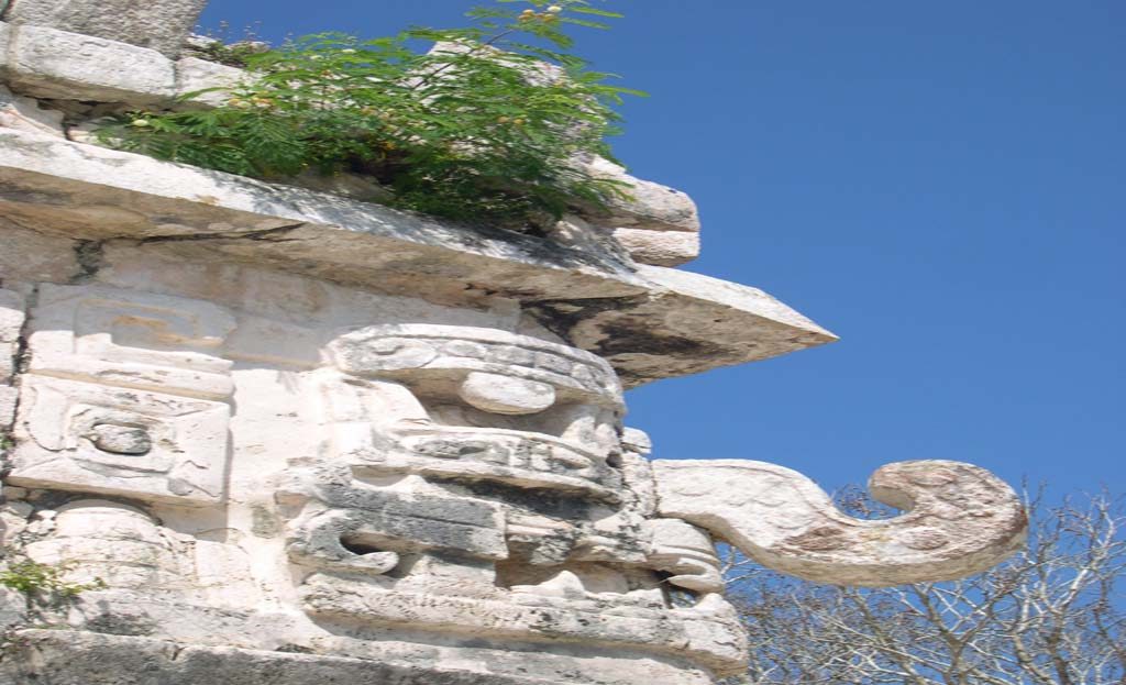 Sculpture en pierre maya avec masque et volute ornementale, végétation poussant au sommet, Yucatán, Mexique