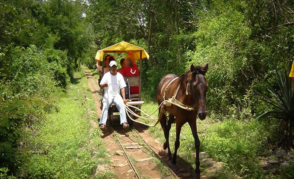 Chariot tiré par un cheval sur rails avec touristes, chemin forestier près de Cuzama, Mexique