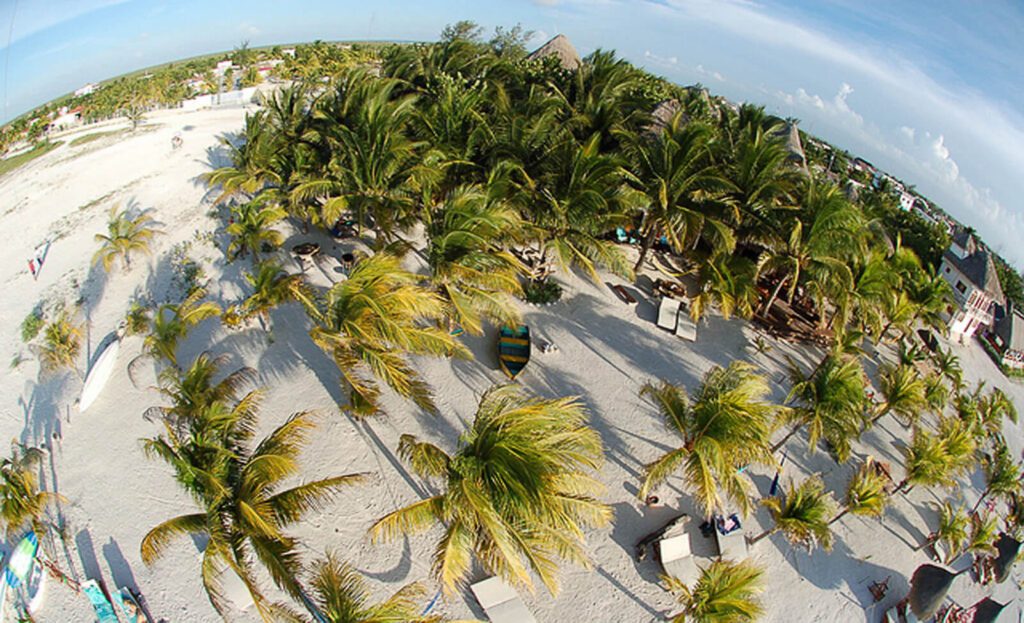 Vue aérienne d'une plage de sable blanc bordée de palmiers à Holbox, Mexique