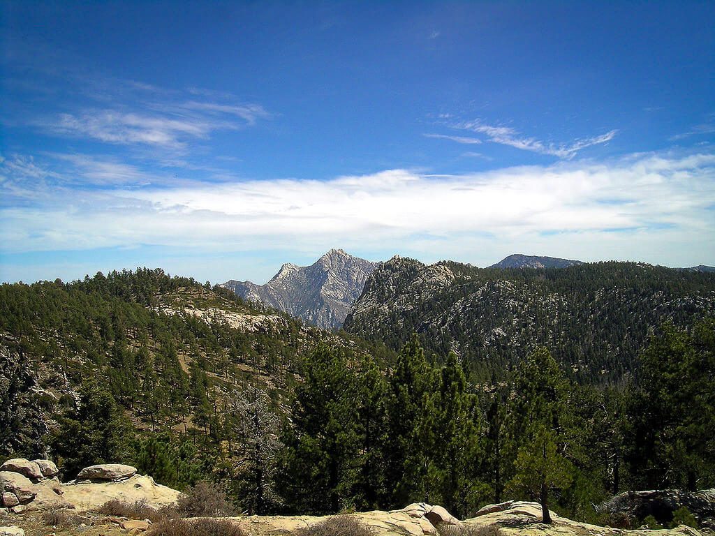 Forêt de pins et sommets rocheux du Parc National San Pedro Martir en Basse-Californie