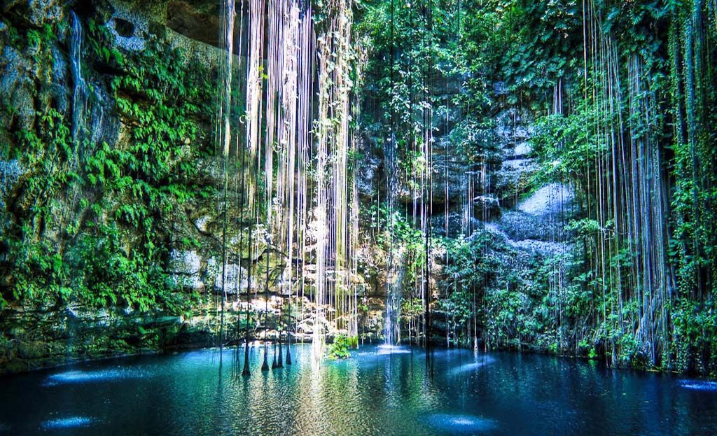 Cenote à ciel ouvert avec racines suspendues et eau turquoise près de Merida, Mexique