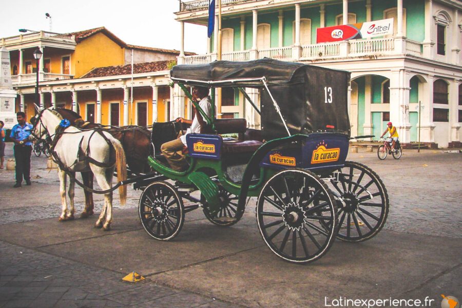 Calèche traditionnelle attelée à un cheval blanc devant des bâtiments coloniaux, Grenade, Nicaragua