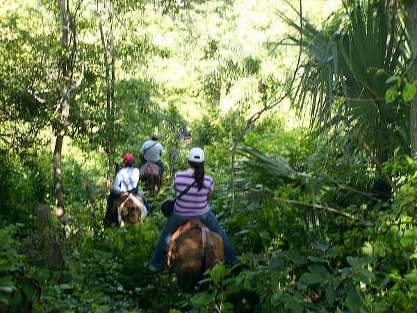 Cavaliers avançant à cheval sur un sentier forestier dense, sans vue dégagée sur le volcan ou le golfe