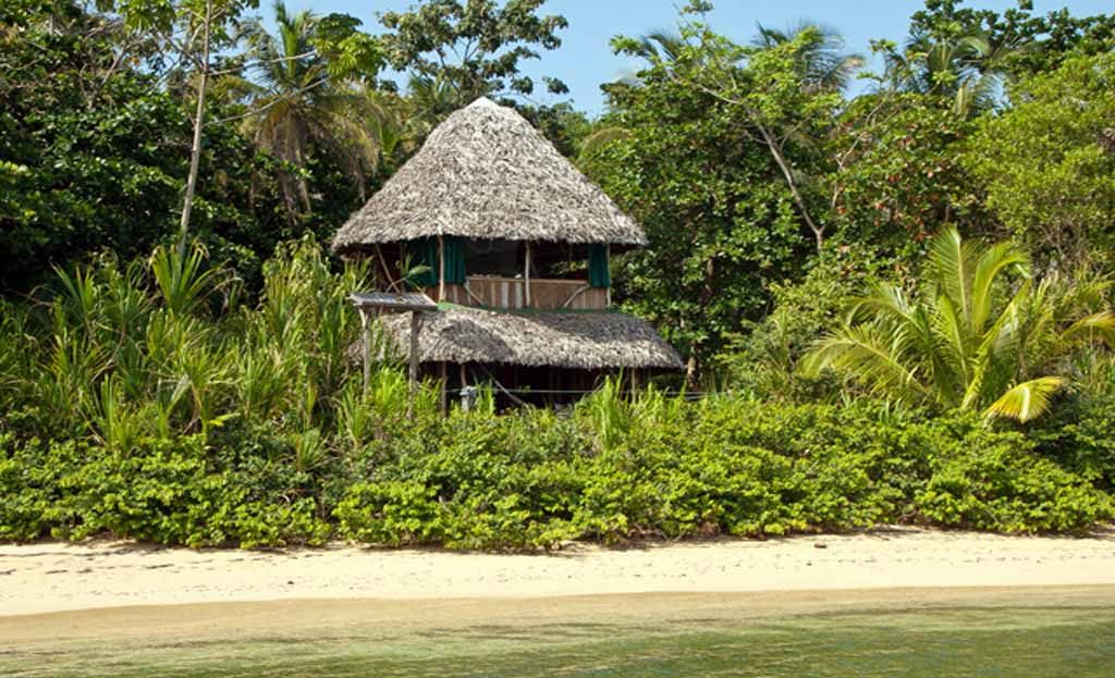 Cabane en toit de chaume nichée dans la végétation tropicale d'une plage à Bocas del Toro, Panama