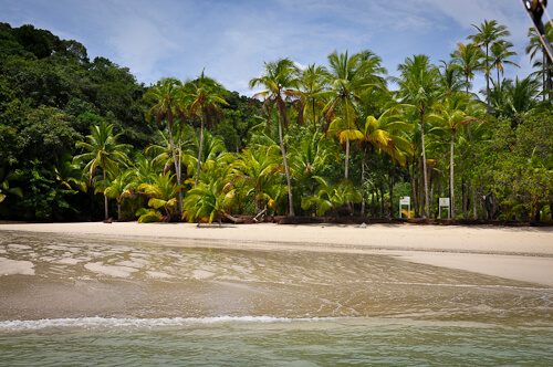 Plage de sable blanc bordée de cocotiers, île Coiba au Panama, vue depuis la mer