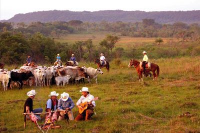 Gauchos jouant de la guitare près d'un troupeau de bétail, campagne paraguayenne près de Caacupé