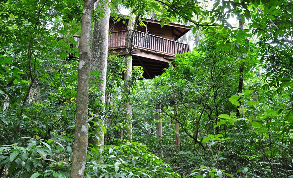 Cabane en bois perchée dans les arbres à Barahona, République Dominicaine