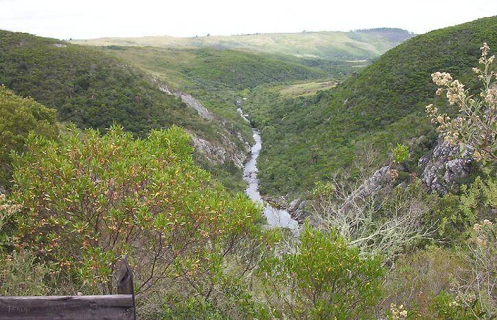 Vue panoramique sur la Quebrada de los Cuervos et sa végétation dense près de Mariscala, Uruguay