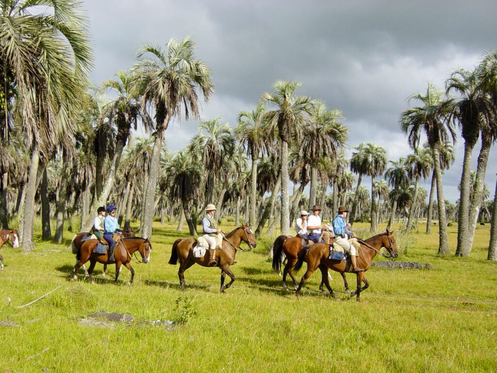 Cavaliers à cheval traversant une palmeraie herbeuse dans la province de Rocha, Uruguay