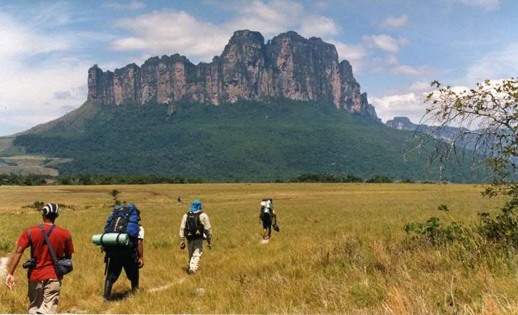 Randonneurs avec sacs à dos traversant une savane herbeuse en direction du tepui Roraima, Venezuela