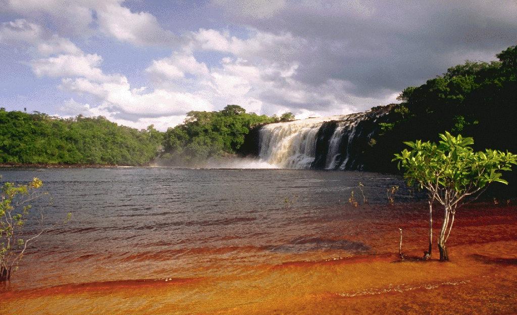 Lagune de Canaima avec chute d'eau, sable ocre et végétation dense, Venezuela