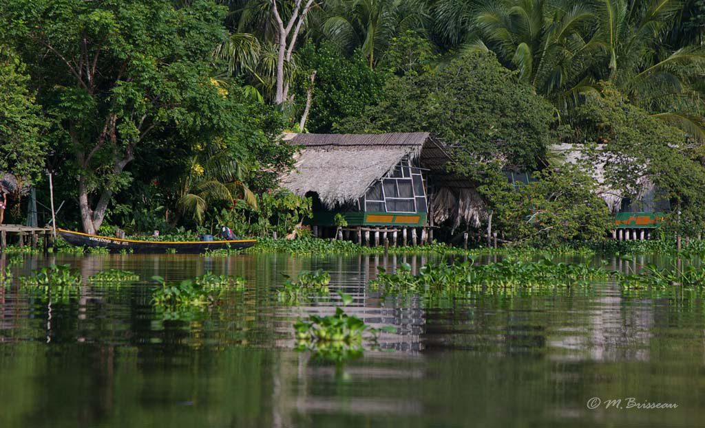 Cabane sur pilotis au toit de chaume et pirogue amarrée, delta de l'Orénoque, Venezuela