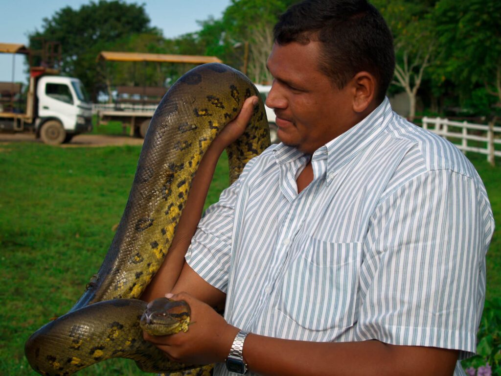 Homme tenant un anaconda dans ses bras dans une ferme des Llanos vénézuéliens