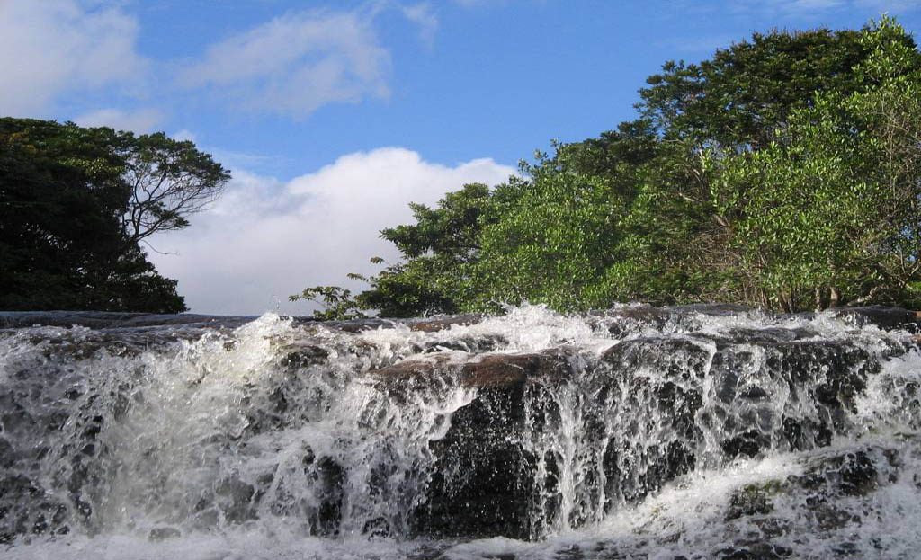 Chute d'eau de Camoiran entourée de végétation tropicale dans la Grande Savane vénézuélienne