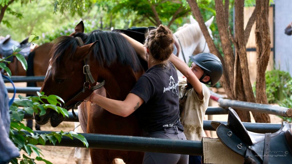 Afrique du Sud - femme et enfant qui préparent un cheval pour une randonnée