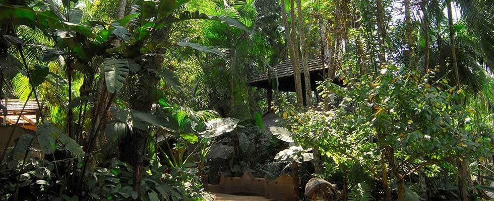 Toit en bois au milieu d'une végétation tropicale dense près d'Iguazu, Argentine