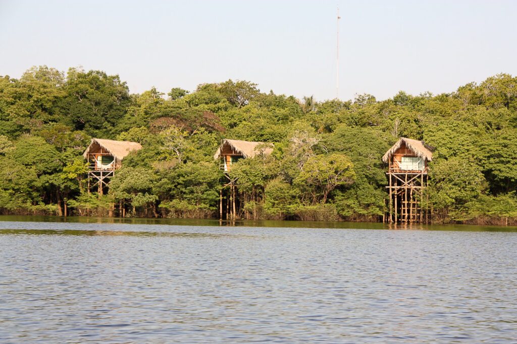 Cabanes sur pilotis au toit de chaume émergeant de la forêt amazonienne, en bord de rivière brésilienne