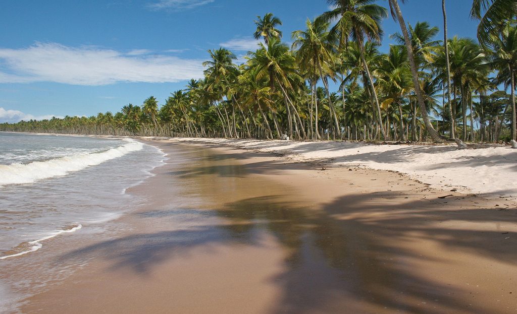 Plage déserte bordée de cocotiers avec vagues et eau trouble, île de Boipeba, Bahia