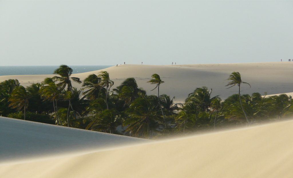 Dunes de sable et cocotiers en bord de mer, paysage côtier du Brésil