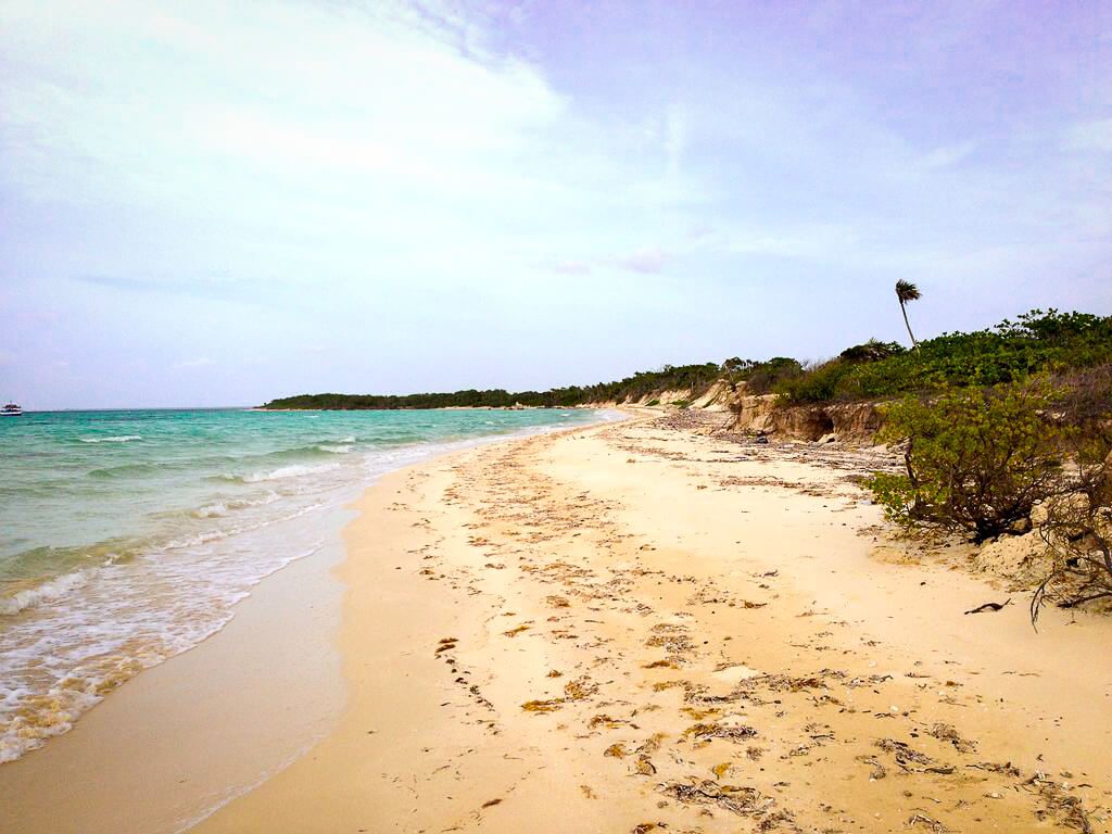 Plage de sable désertée avec palmier et végétation côtière, Cabo San Antonio, Cuba