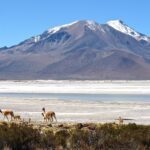 Hauts plateaux désertiques de l'Altiplano chilien, entre Atacama et Putre