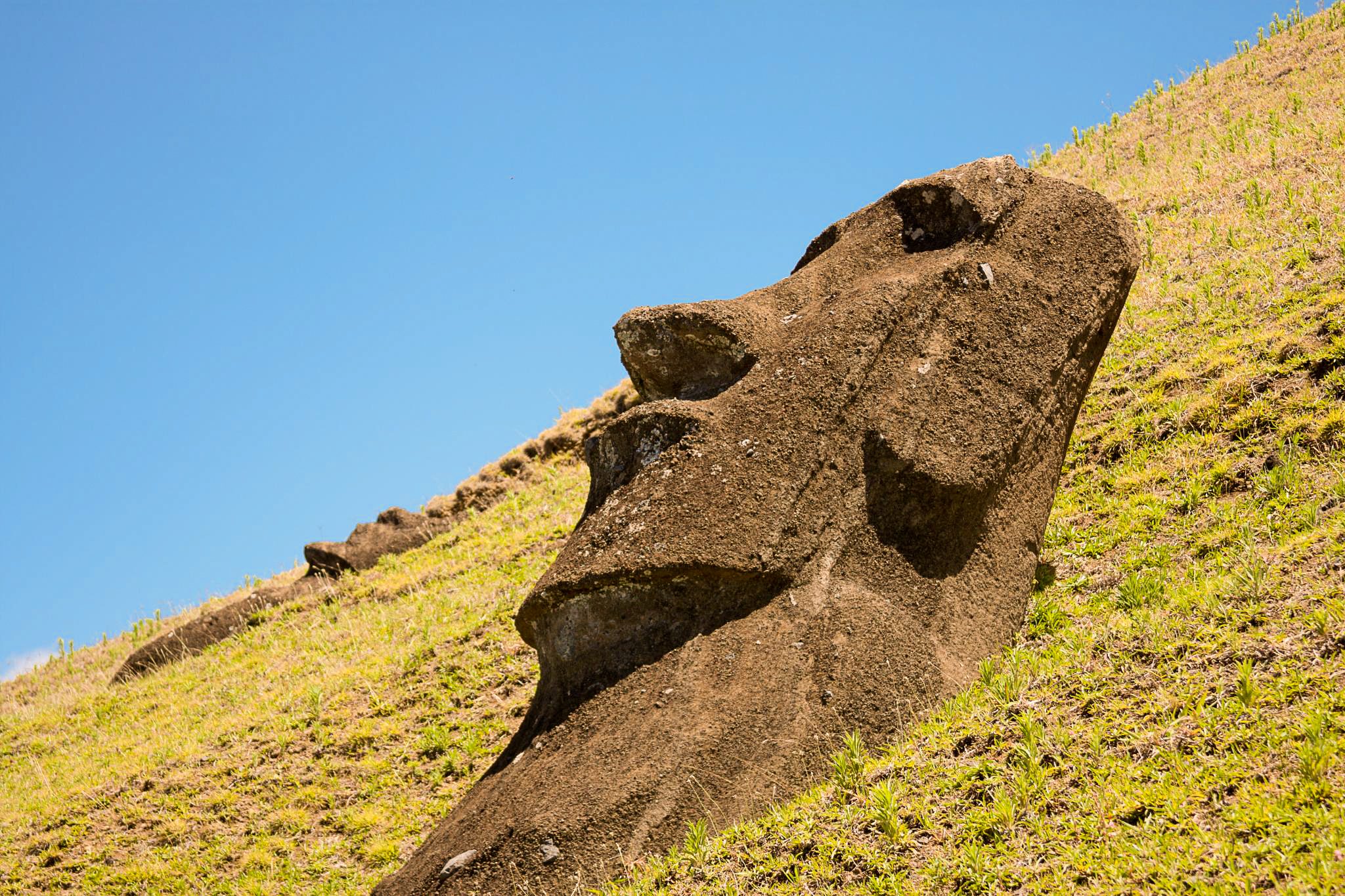 Statues moai enfouies sur les pentes herbeuses du volcan Rano Raraku, île de Pâques