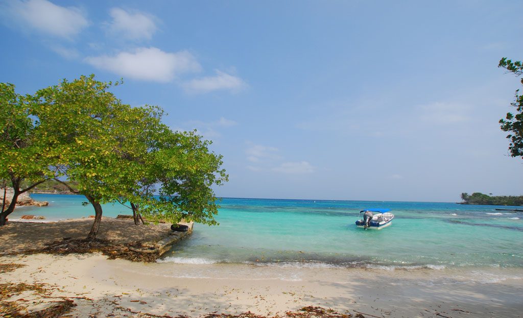 Bateau ancré dans une eau turquoise près d'une plage arborée de l'île de Barú, Colombie