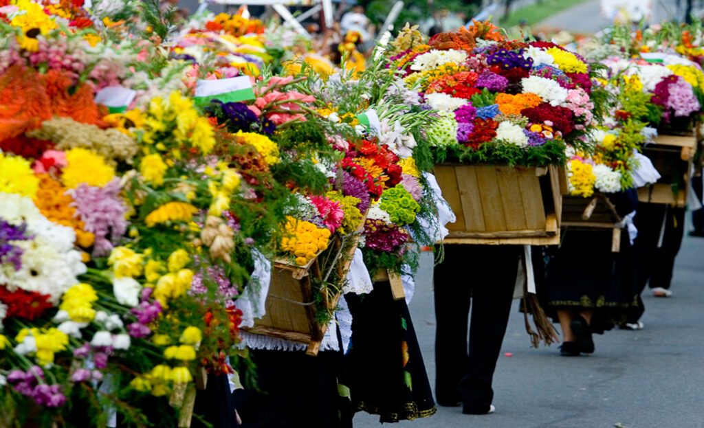 Silleteros portant des silletas fleuries lors de la Feria de las Flores à Medellín, Colombie