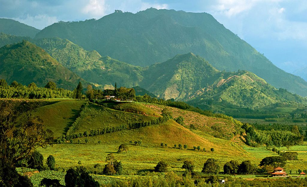 Vallée verdoyante et collines cultivées dominées par une chaîne de montagnes, Région du Café, Colombie