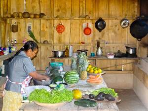 Femme préparant des fruits et légumes dans une cuisine traditionnelle Bri-Bri au Costa Rica