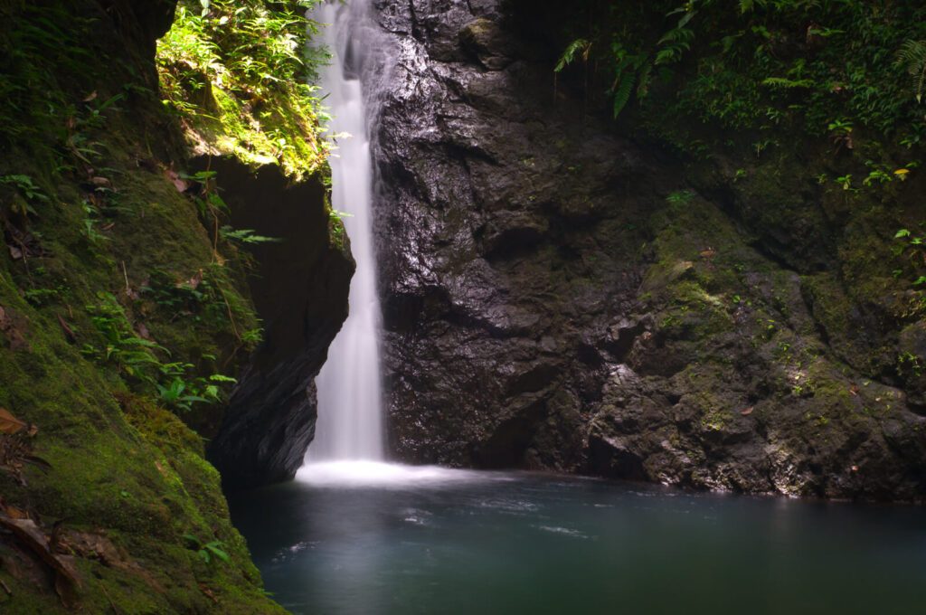 Cascade cachée dans la forêt tropicale de la côte Caraïbe du Costa Rica