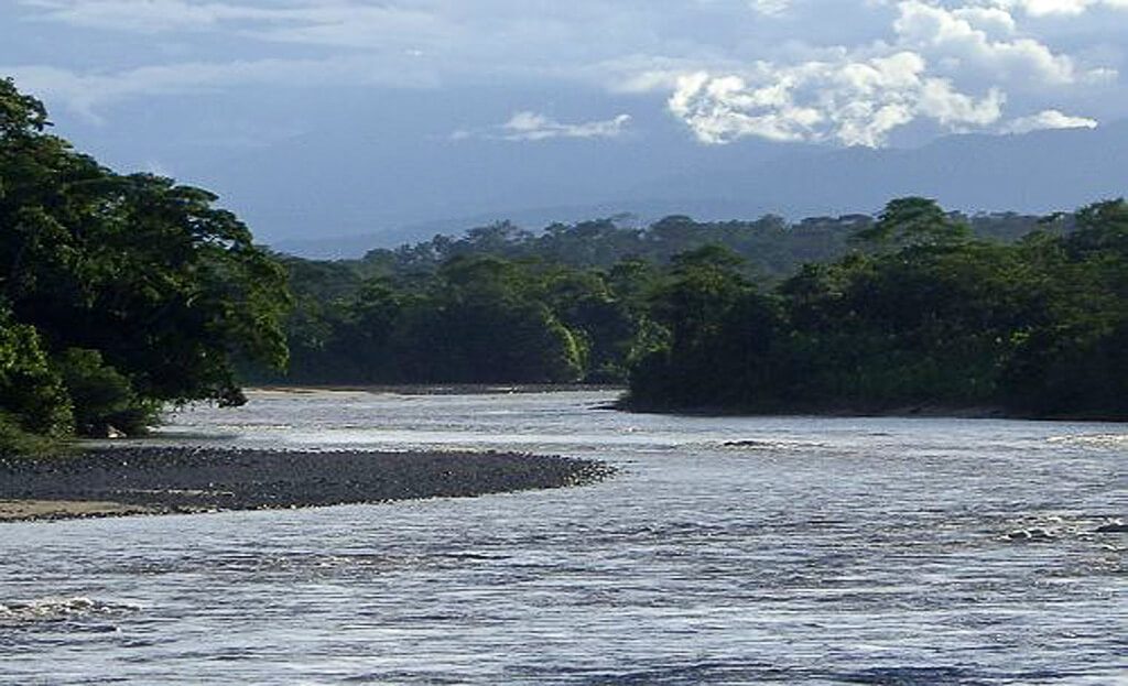 Vue du fleuve Napo bordé de forêt dense en Amazonie équatorienne, sans pirogue visible