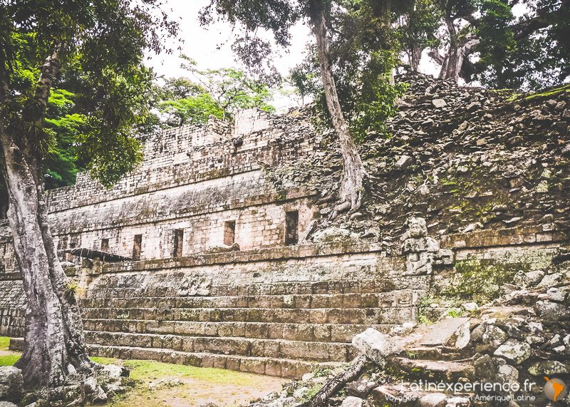 Escalier et mur en pierre des ruines mayas de Copán entourés de végétation, Honduras