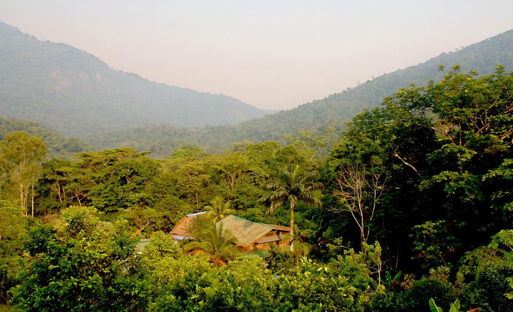 Toit de chaume d'un lodge niché dans la forêt tropicale, montagnes en arrière-plan, parc national Pico Bonito, Honduras