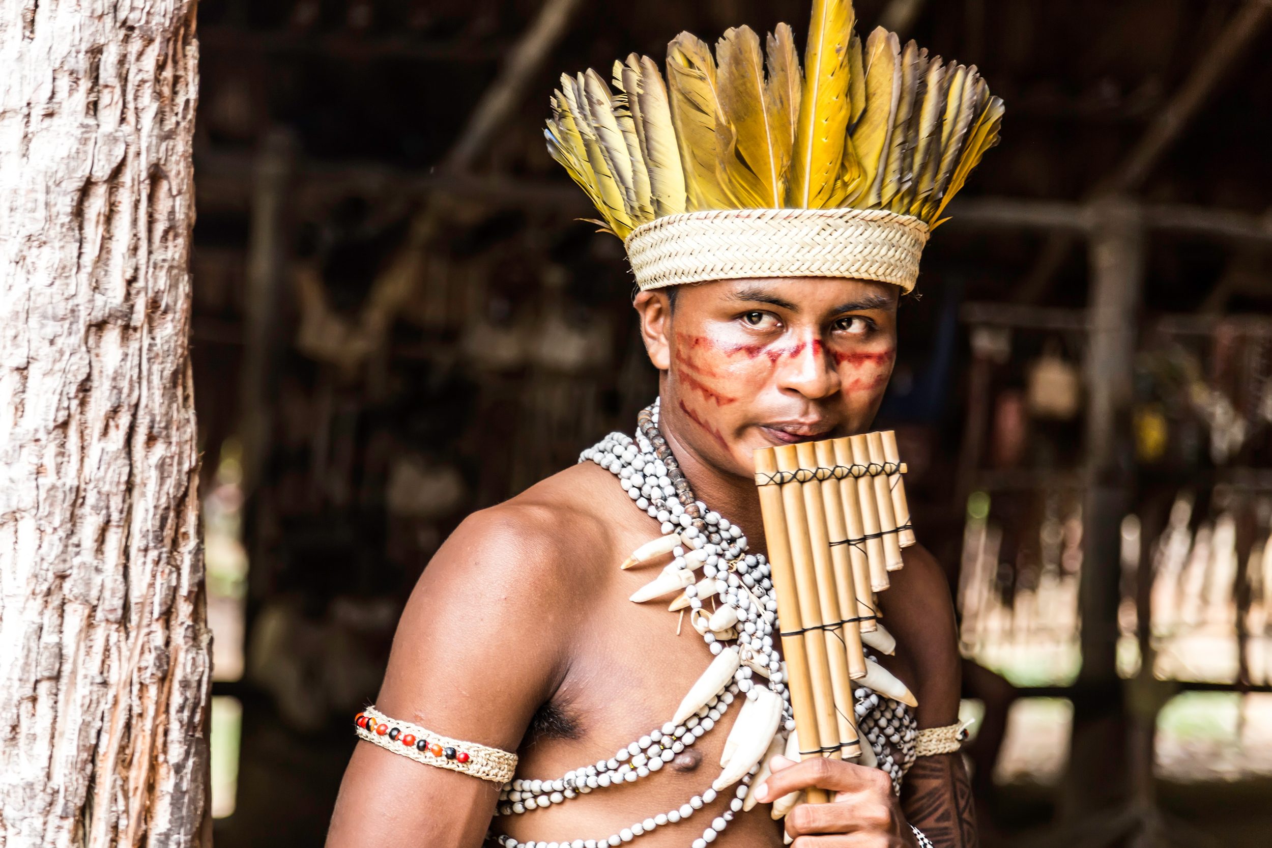Amazonie - Latinexperience voyages