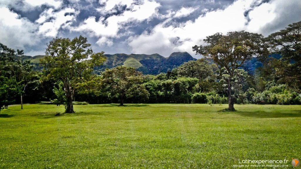 Prairie verdoyante bordée d'arbres avec collines montagneuses en arrière-plan, vallée d'Anton, Panama