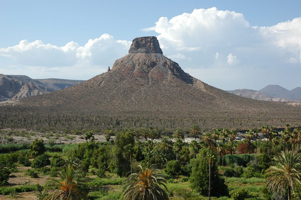 Butte volcanique désertique dominant une oasis de palmiers et cactus, Basse-Californie, Mexique