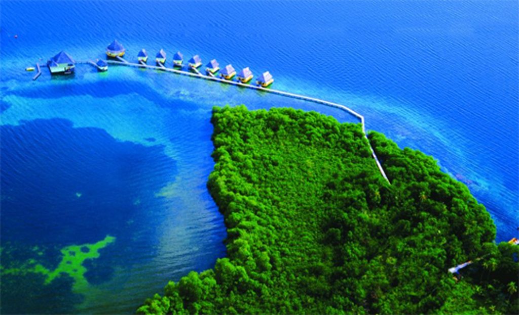 Vue aérienne de bungalows sur pilotis longeant une île de mangrove à Bocas del Toro, Panama